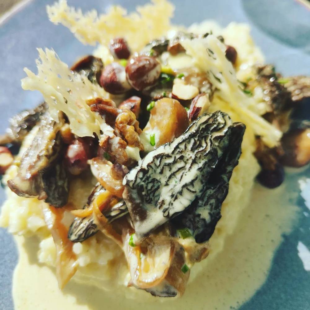 purée et morilles